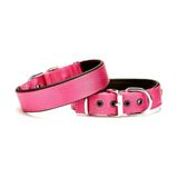 Softlu Köpek Boyun Tasması 3 cm x 55 cm Mor