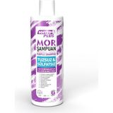 Softto Plus Mor Şampuan Boyalı Saçlar İçin Renk Koruyucu Etki 400 ml Parabensiz