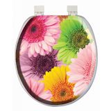 Softy 3282 Yumuşak Klozet Kapağı