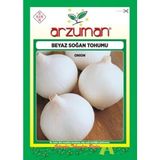 Soğan Tohumu 1250 Tohum 5 Gram