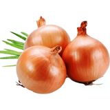 Soğan Tohumu 5 Gr Paket