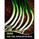 Soğan Tohumu Demet Yeşil - 10 g (~ Takribi 1800 Tohum)