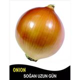 Soğan Tohumu Valenciana - 25 G. (~ Takribi 4500 Tohum)