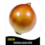 Soğan Tohumu Valenciana - 5 G. (~ Takribi 900 Tohum)