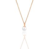 Söğütlü Silver Gümüş rose zirkon taşlı inci kolye [barcode]
