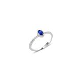 Söğütlü Silver SGTL10162SAFIR Gümüş Yüzük