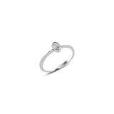 Söğütlü Silver SGTL10162ZIRKON Gümüş Yüzük