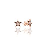 Söğütlü Silver SGTL10879 Rose Zirkon Taşlı Star Gümüş Küpe