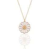 Söğütlü Silver SGTL11144 Gümüş Rose Zirkon Taşlı Papatya Kolye