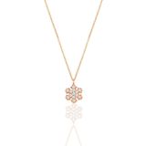 Söğütlü Silver SGTL11328 Gümüş Rose Zirkon Taşlı Kar Tanesi Kolye