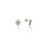 Söğütlü Silver SGTL4068 925 Ayar Gümüş Mini Kutupyıldızı Küpe