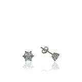 Söğütlü Silver SGTL4514 Swarovski Tek Taş Gümüş Küpe