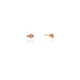 Söğütlü Silver SGTL7930 925 Ayar Gümüş Rose Zirkon Taşlı Mini Pırlanta Modeli Balık Küpe