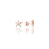 Söğütlü Silver SGTL9725ROSE Zirkon Taşlı Deniz Yıldızı Gümüş Küpe