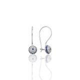 Söğütlü Silver SGTL9938RODAJ Gümüş Küpe