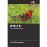 SOKELA 11: Analisi multidimensionale
