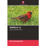 SOKELA 11: Análise multidimensional