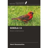 SOKELA 11: Revisión multidimensional