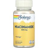 Solaray Niacinamide 500 mg 100 Vegcaps - Non Flush - 100 KAPSÜL