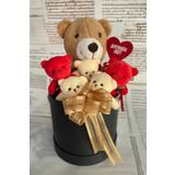 SOLE Premium Özel Hediye Kutusunda 25 cm Boz Ayıcık ve 5 adet Krem Peluş Minik Ayıcık Buketi