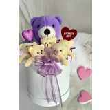 SOLE Premium Özel Hediye Kutusunda 25 cm Lila Ayıcık ve 5 adet Krem Peluş Minik Ayıcık Buketi