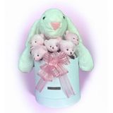 SOLE Premium Özel Hediye Kutusunda 45 cm Beyaz Bunny Tavşan ve 5 Adet Kırmızı Peluş Ayıcık Buketi Pembe