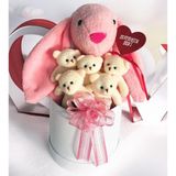 SOLE Premium Özel Hediye Kutusunda 45 cm Pembe Bunny Tavşan ve 5 Adet Krem Peluş Ayıcık Buketi