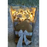 Sole Sevgiliye Özel Peri Led Işıklı Dore-Gümüş Konsept Romantik Peluş Ayıcık Buketi