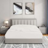 Soley Jersey %100 Pamuk Çift Kişilik 200 X 200 Lastikli Çarşaf Çok Renkli