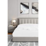Soley Jersey Beyaz %100 Pamuk Çift Kişilik 160x200 cm Lastikli Çarşaf