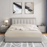 Soley Jersey Ekru %100 Pamuk Çift Kişilik 200x200 cm Lastikli Çarşaf