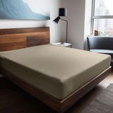 Soley Mix & Match Plain Bej %100 Pamuk Ranforce 160x200 cm Çift Kişilik Lastikli Çarşaf