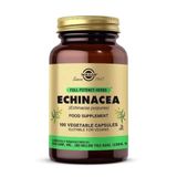 Solgar Echinacea 100 Kapsül