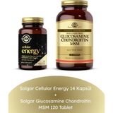 Solgar Glucosamine Chondroitin MSM 120 Tablet + Cellular Energy 14 Kapsül