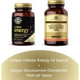 Solgar Glucosamine Chondroitin MSM 60 Tablet + Cellular Energy 14 Kapsül