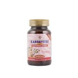 Solgar Kangavites Multivitamin Mineral 60 Çiğnenebilir Tablet