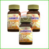 Solgar Kangavites Vitamin C 100 mg 90 Çiğnenebilir Tablet