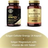 Solgar Magnesium with Vitamin B6 100 Tablet + Cellular Energy 14 Kapsül
