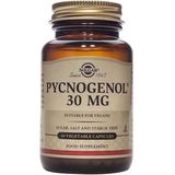 Solgar Pycnogenol 30 mg İçeren 30 Kapsül