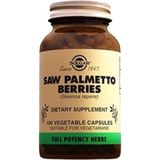 Solgar Saw Palmetto 100X520 Mg - Aromasız