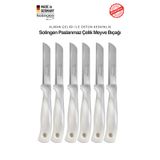 Solingen Ritter Profesyonel Gri Renk Geçişli Meyve&Sebze Bıçağı 6'lı Set & Ultra Keskin Tırtıklı Ağız, Paslanmaz Çelik
