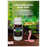 SOLLUCHAN Solucan Bitki Besini ve Vitamin