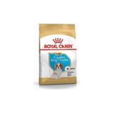 Solmazlar Online Cavalier King Charles Puppy Yavru Köpek Maması 1,5 kg - Belirtilmemiş
