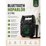 Solmazlar Online Yeni Nesil 6.5 İnç Bluetooth Hoparlör Mikrofonlu Taşınabilir Ses Sistemi - SL0005-0CBNN3