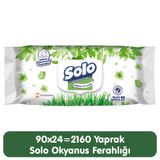 Solo Bahar Temizliği 90x24 2160 Yaprak Islak Mendil
