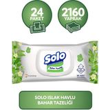 Solo Islak Mendil Bahar Tazeliği 90 Yaprak 24 Adet Kapaklı