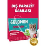 Solomon Kediler Için Dış Parazit Ense Deri Damlası Pire Bit Kene Deri Bakımı Için Bitkisel Damla 5x1 ml