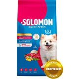 Solomon Yetişkin Küçük Irk Kuzu'lu Süper Premium Köpek Maması 9 kg Hipoalerjenik - Düşük Tahıllı