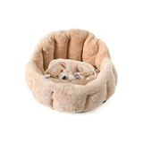 Solvéra Peluş Yumuşak Köpek ve Kedi Yatağı - A Kalite Koltuk Kumaşı ile Konforlu - Seçenek 1 - Siyah