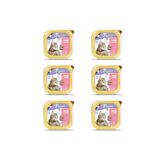 Somon Balıklı Pate Kısırlaştırılmış Ve Yetişkin Kedi Yaş Maması 100 Gr X 6 Adet